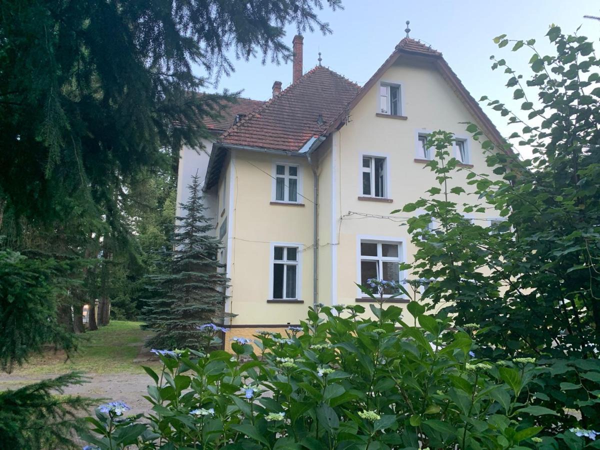 Arboretum Świeradów-Zdrój 外观 照片